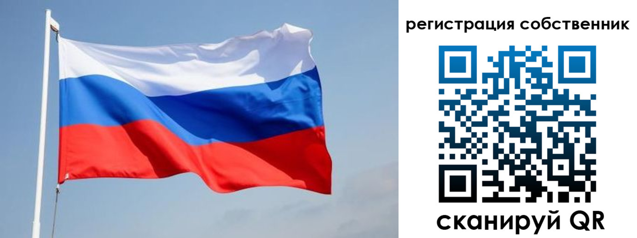 где прописаться в Лосино-Петровском